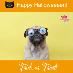 Best Halloween Decor for 2025